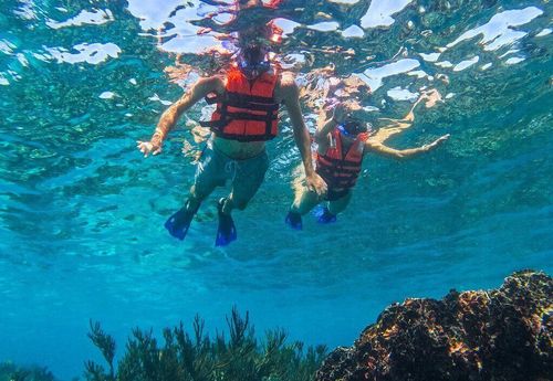 The Tulum Sea Turtle and Rays 1.5 Hours Snorkel Experience
