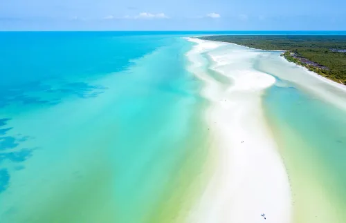From Tulum: The Best of Holbox Island