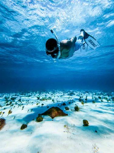 Cozumel: El Cielo Starfish Sanctuary, Reefs & Fresh Ceviche