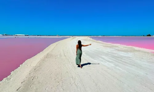 From Tulum: Rio Lagartos & Las Coloradas